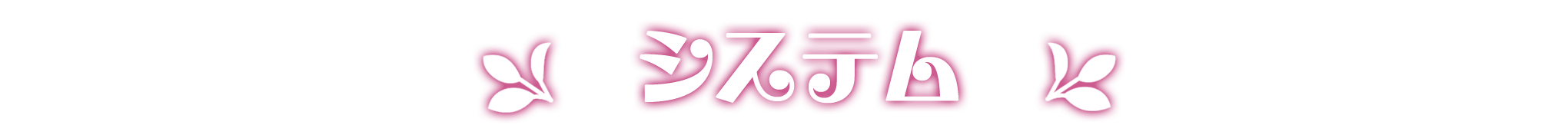 システム